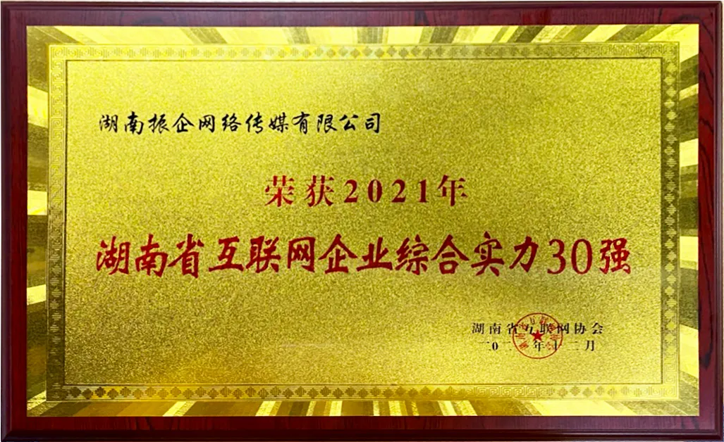 喜報(bào) | 振企網絡傳媒—榮獲2021年(nián)“湖(hú)南(nán)省互聯網企業(yè)綜合實力30強”(圖3)