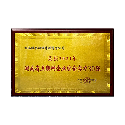 2021綜合實力30強